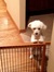 Diann N...