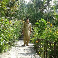 Naveed Iqbal
