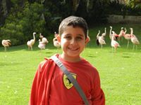 Seif Elmehelmy
