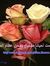 Razan A...