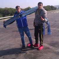 ميدوكس باشينوو.