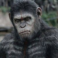 Nabel Imran Wonderman