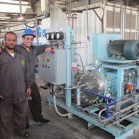 محمد المهدى