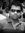 Satya M...