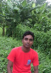 ইসমাঈল হোসেন