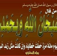 وليد الخولى