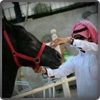 عموري عموري