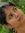 Richa S...