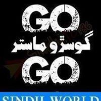 Waseem Hussain