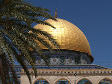 تسنيم - Tasneem