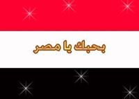 أبو مصطفى