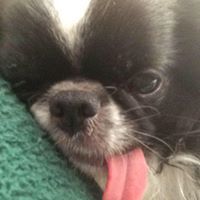 Stephanie Barry Wiest