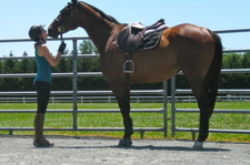 Alexandra Supertramp