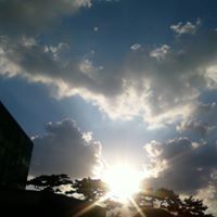 채린 이