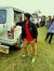 Amrit Raj