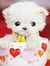 Yusra N...