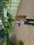Sam Anand