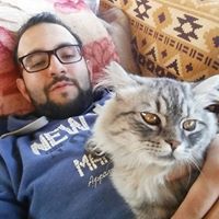 Othman Ashour