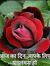Hemant ...