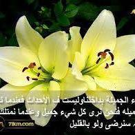 اماني أم براء