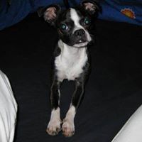 Avengingrainbow Daniela