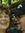 member photo member photo