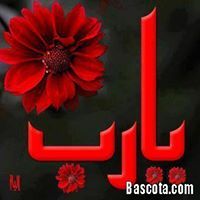 Thamir Alkhailani