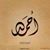 Ahmed Abdelqader