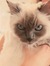 Menna