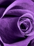 VioletPetal