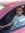 Samy Asal