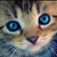 Κάτια Ρεμπάπη