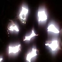 Christan Madlangbayan