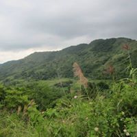 Roland Marquez