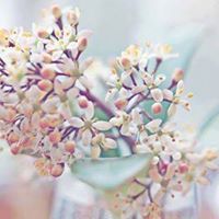 ﻏﺪﻳﺮ ﺍﻟﻤﺬﺣﺠﻲ