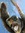 Colleen Flynn | 10 comments