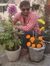 Pratik ...