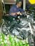 Ankit S...