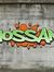 Hossam ...
