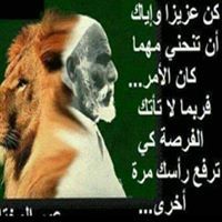 محمد العصيمي