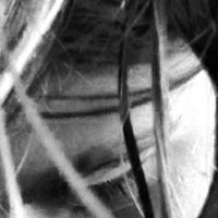 Nirian Boelling-Mcdougall