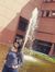 Arly Cano