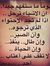 Toka Adel