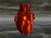 مازن مرتكوش