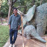 Nikul Kumar