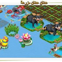 فارس محمود