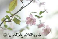 باسمة محمود