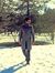 Moath H...