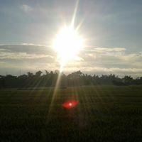 Moh Pramono
