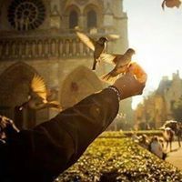 فاطمة الفريحان